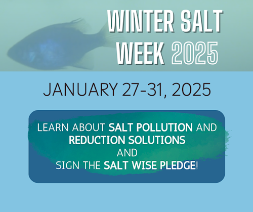 Winter Salt Week poster